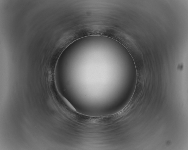 X0000097470086200802221246