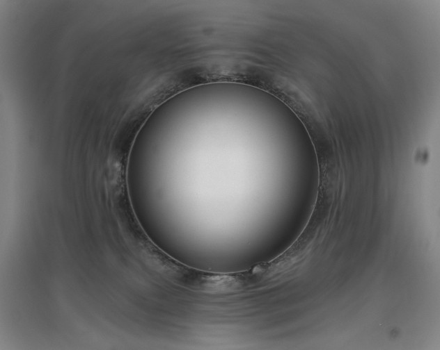X0000097470087200802221246