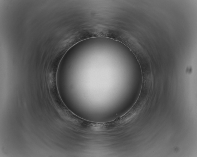 X0000097470088200802221246
