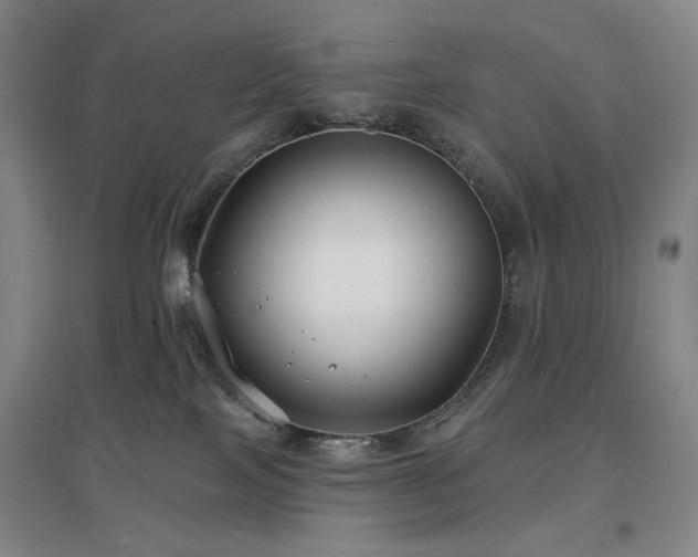 X0000097470089200802221246