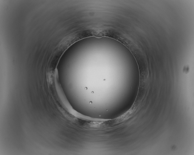 X0000097470090200802221246