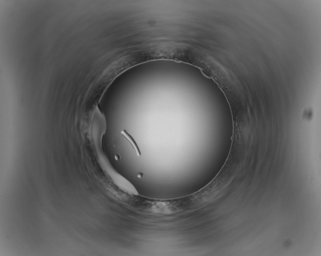 X0000097470091200802221246
