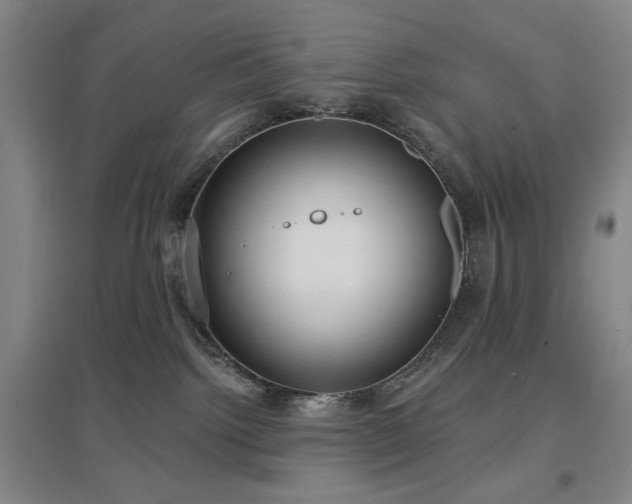 X0000097470092200802221246