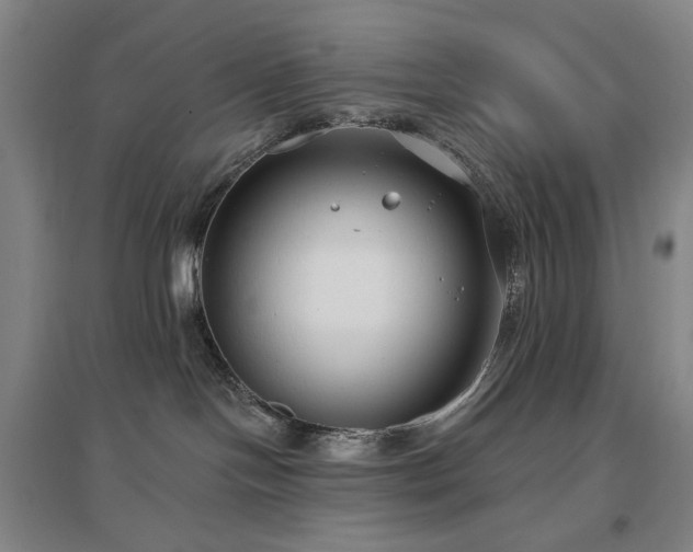 X0000097470094200802221246