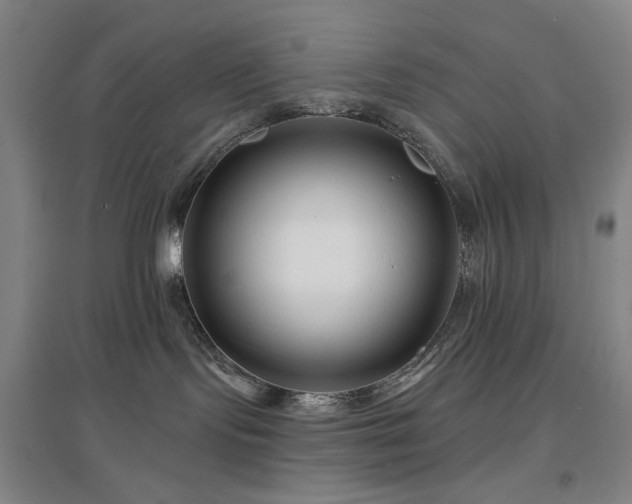 X0000097470095200802221246