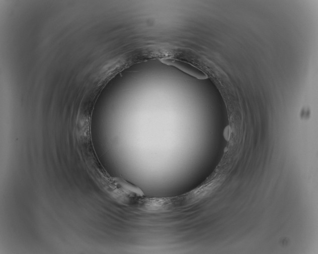X0000097470096200802221246