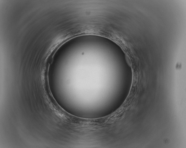 X0000097470098200802221245