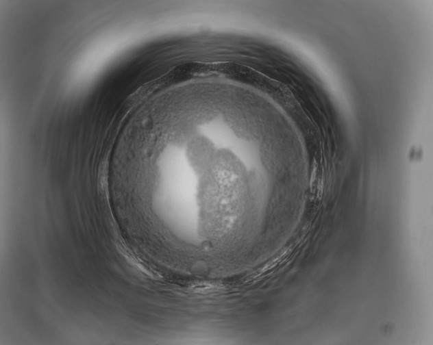 X0000097470099200802221245
