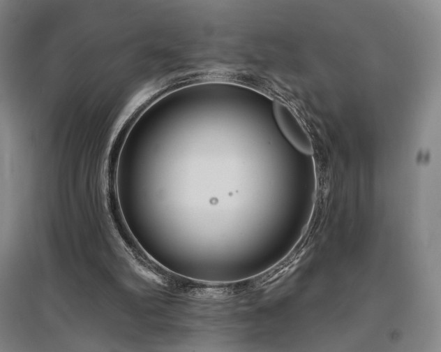 X0000097470102200802221245