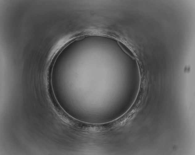 X0000097470103200802221245