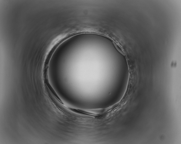 X0000097470104200802221245