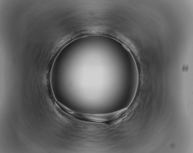 X0000097470105200802221245