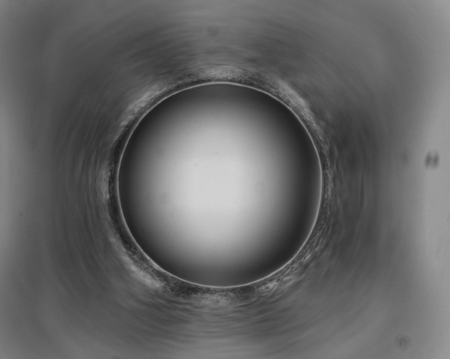 X0000097470106200802221245
