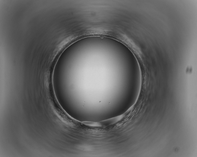 X0000097470107200802221245