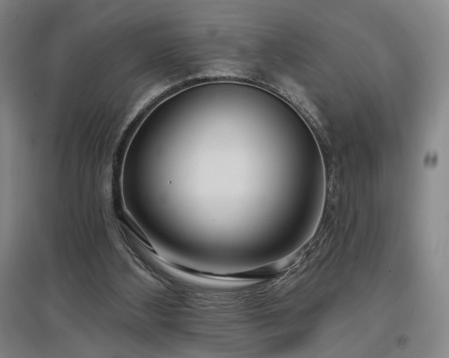 X0000097470108200802221245