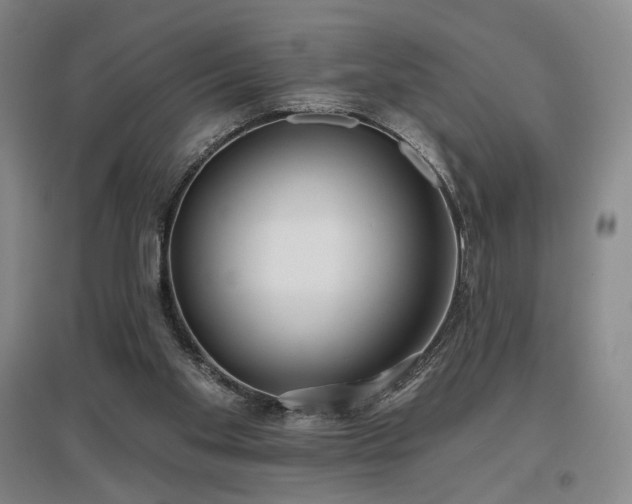 X0000097470109200802221245