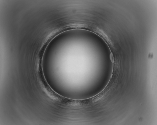 X0000097470110200802221245