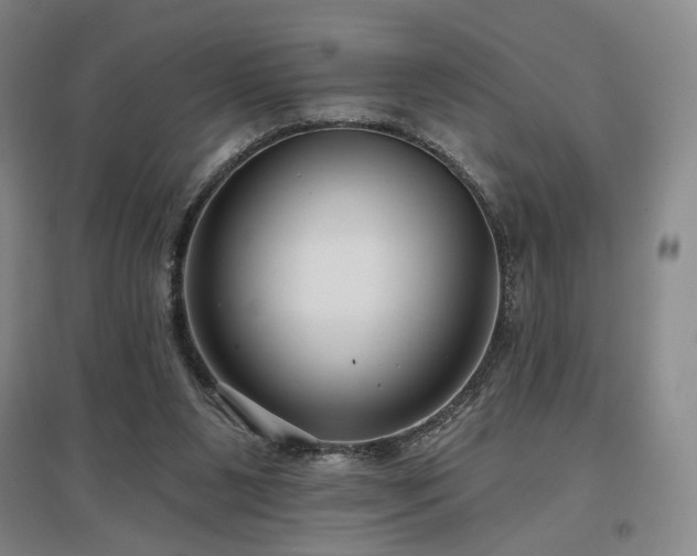 X0000097470111200802221245