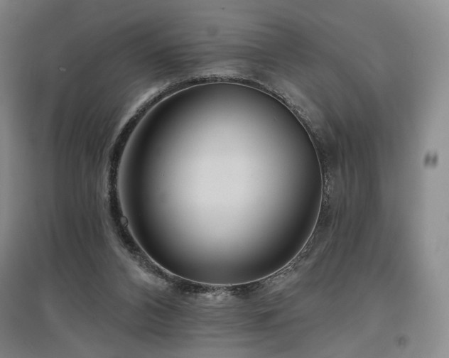 X0000097470112200802221245
