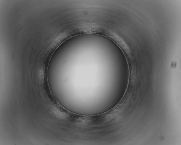 X0000097470113200802221245