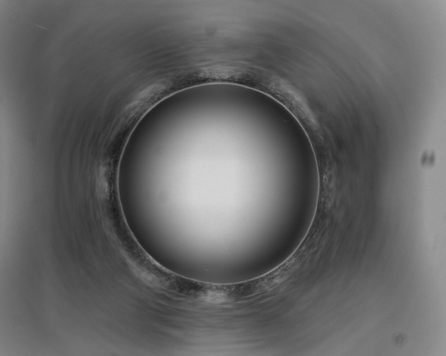 X0000097470114200802221245