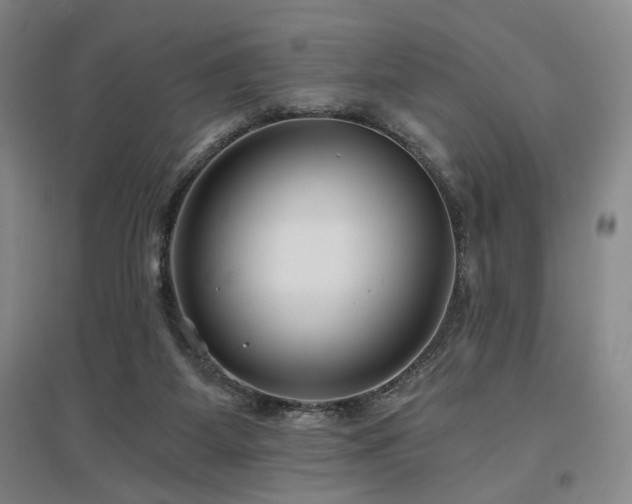 X0000097470115200802221245