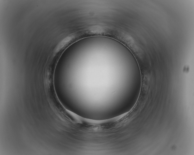X0000097470116200802221245
