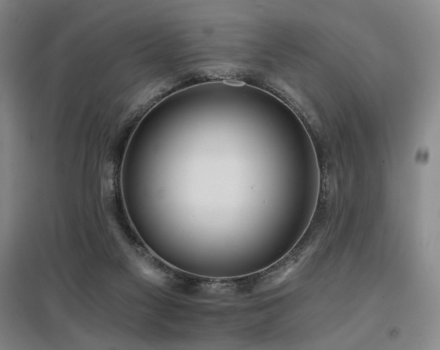 X0000097470117200802221245