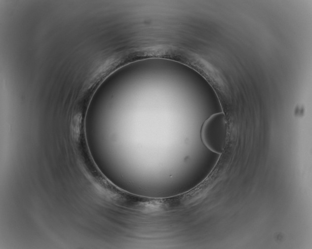 X0000097470118200802221245