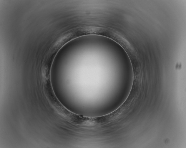X0000097470119200802221245