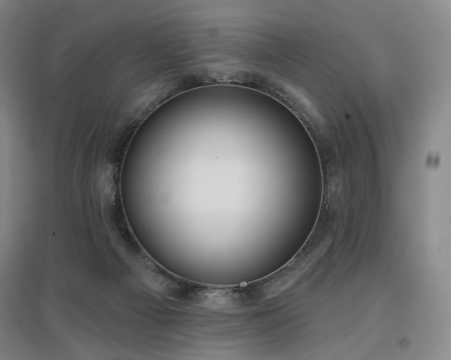 X0000097470121200802221245