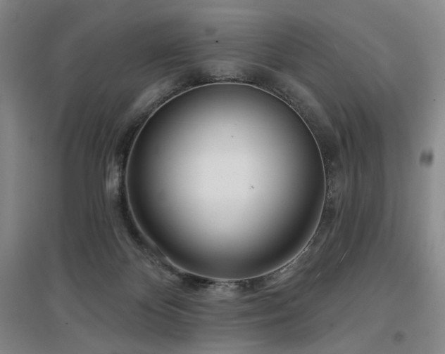 X0000097470124200802221244