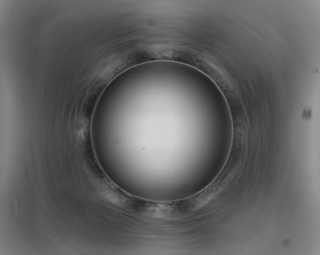X0000097470125200802221244