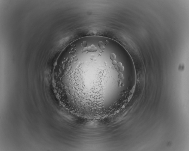 X0000097470127200802221244