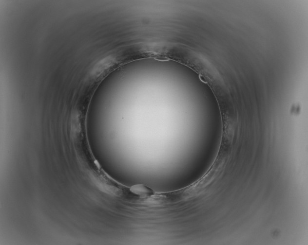 X0000097470128200802221244