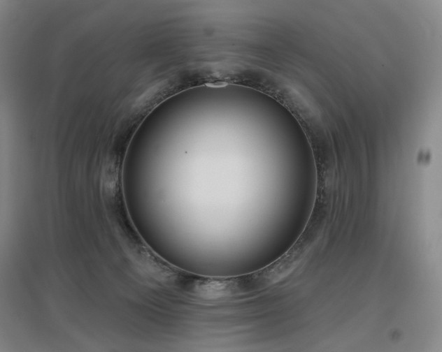 X0000097470129200802221244