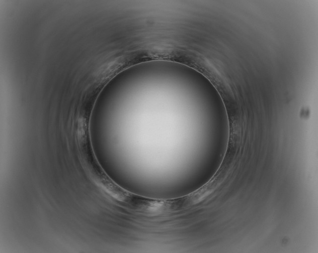X0000097470130200802221244