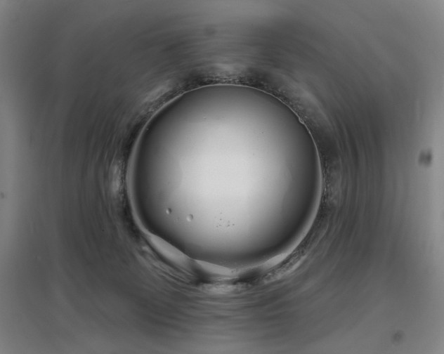 X0000097470131200802221244