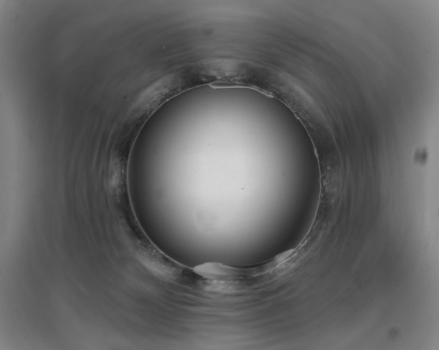 X0000097470132200802221244