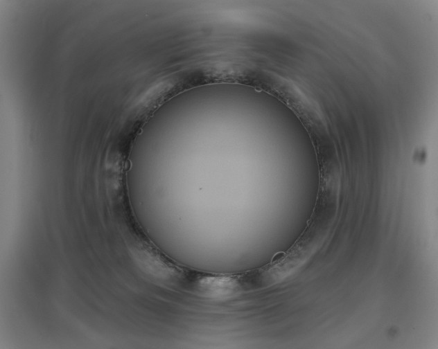X0000097470133200802221244