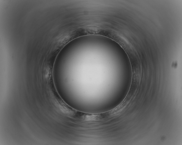 X0000097470134200802221244