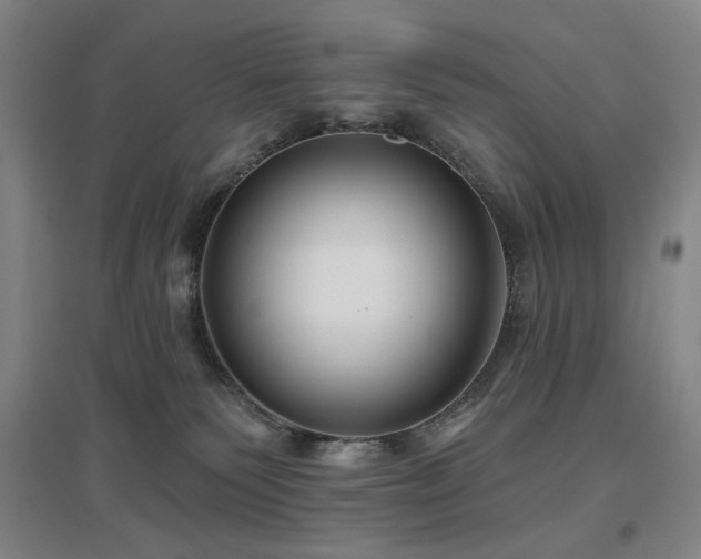 X0000097470135200802221244