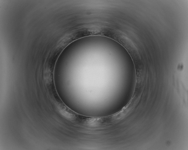 X0000097470136200802221244