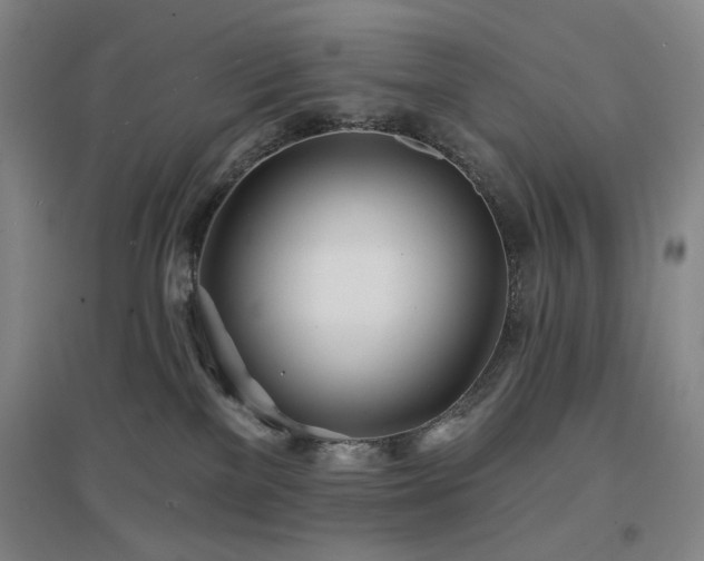 X0000097470137200802221244