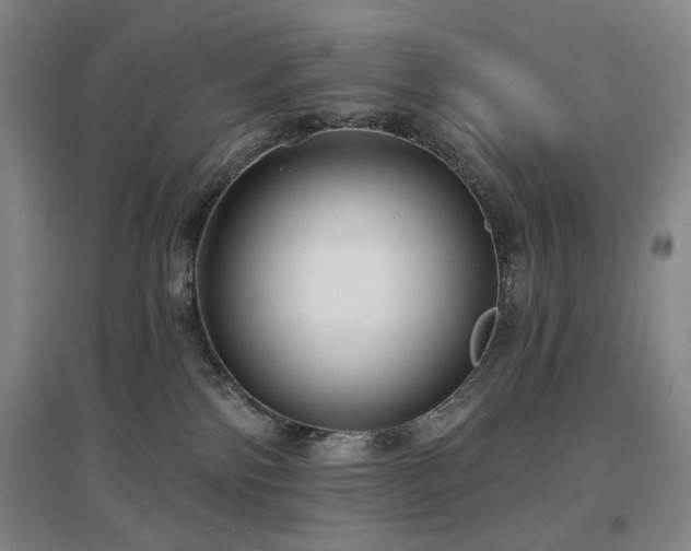 X0000097470138200802221244