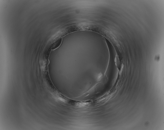 X0000097470139200802221244