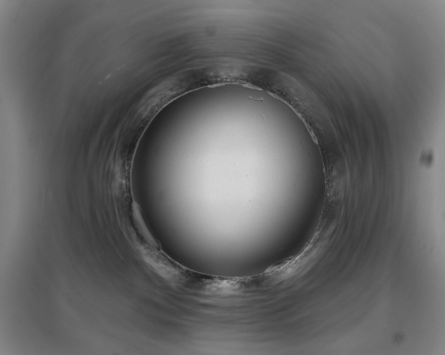 X0000097470140200802221244
