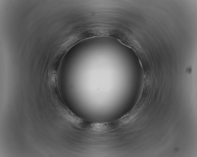 X0000097470141200802221244