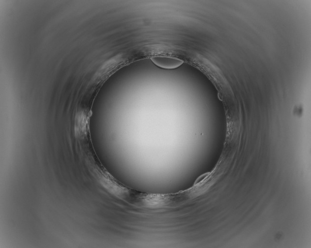 X0000097470142200802221244