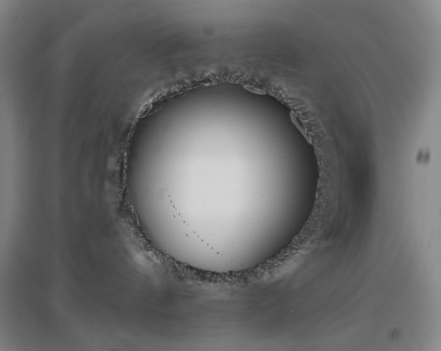 X0000097470144200802221244